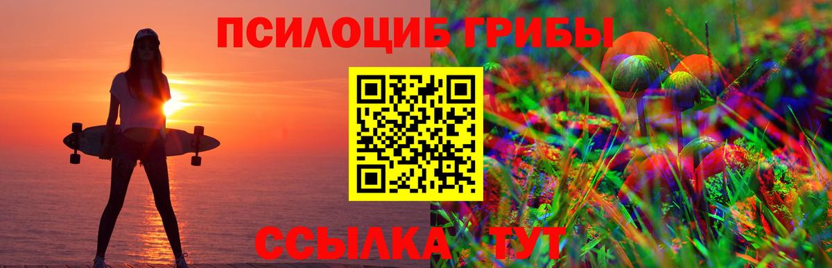Галлюциногенные грибы Cubensis Минеральные Воды